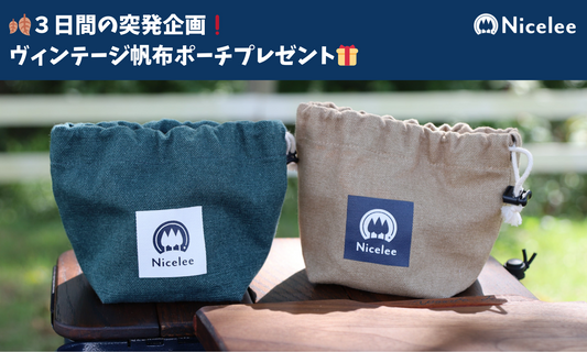🎉✨ ナイスリー特別企画!3日間限定プレゼント! ✨🎉